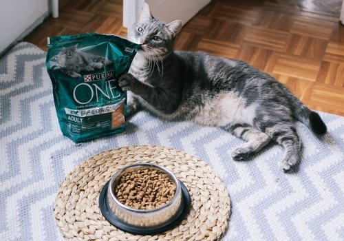 Prueba gratis Purina One Bifensis 